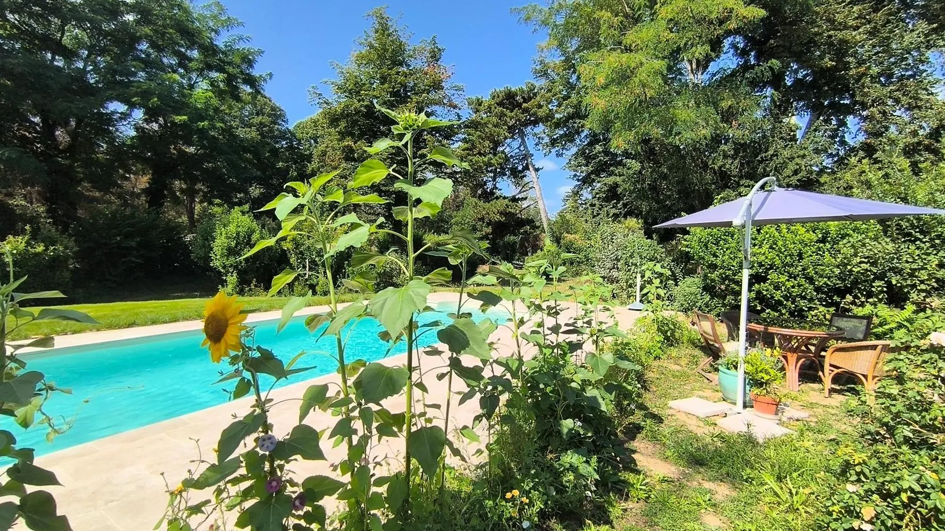 Domaine De Ris Hotel Ris-Orangis 0*,